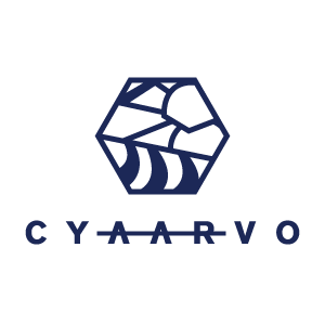 【EE】株式会社VACANS【cyaarvo】